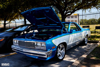 TP-Classic-n-Exotic-10-11-2025-909A6346