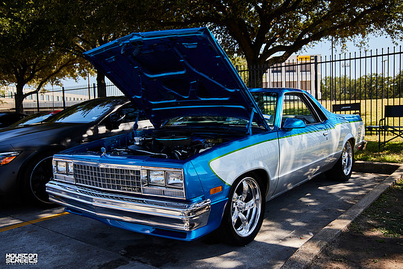 TP-Classic-n-Exotic-10-11-2025-909A6346