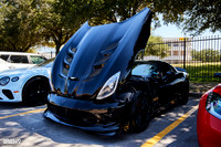 TP-Classic-n-Exotic-10-11-2025-909A6349