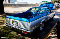 TP-Classic-n-Exotic-10-11-2025-909A6351