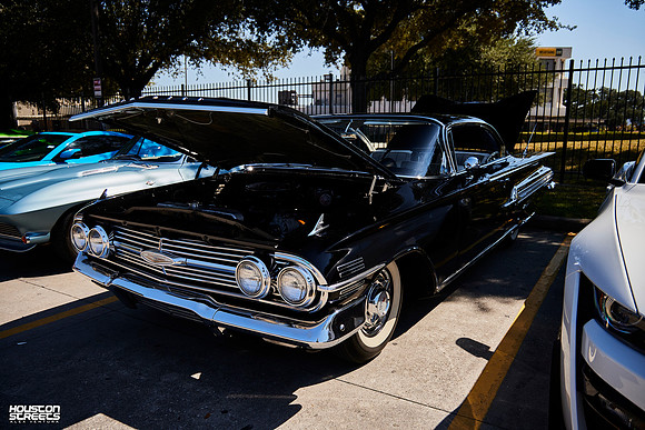 TP-Classic-n-Exotic-10-11-2025-909A6356