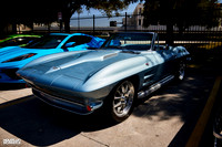 TP-Classic-n-Exotic-10-11-2025-909A6358