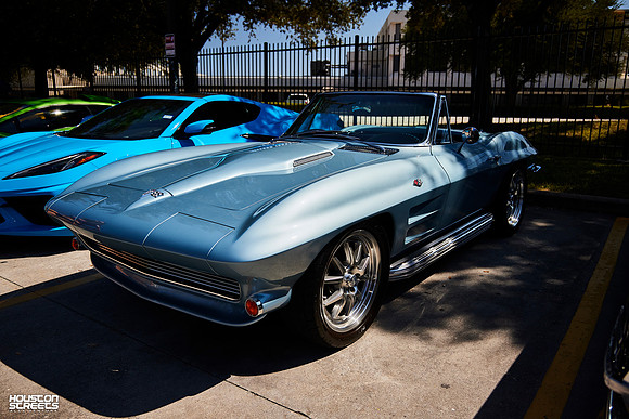 TP-Classic-n-Exotic-10-11-2025-909A6358