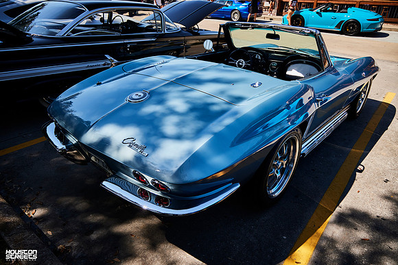 TP-Classic-n-Exotic-10-11-2025-909A6362