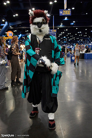 Comicpalooza-2022-IMG_3861