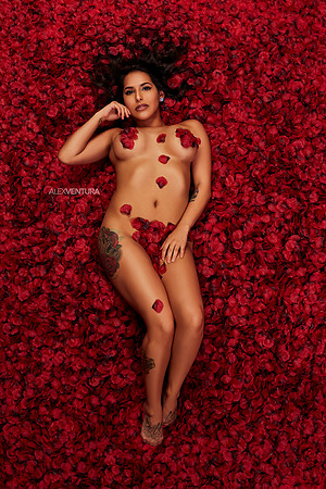 American-Beauty-Ashley-2