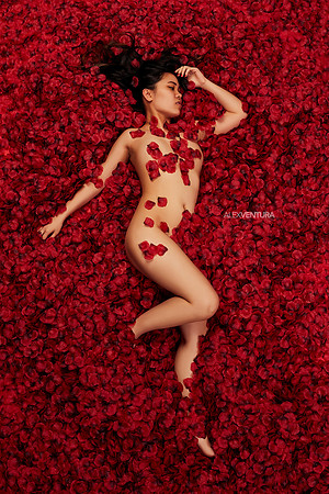 American-Beauty-Ivy-2